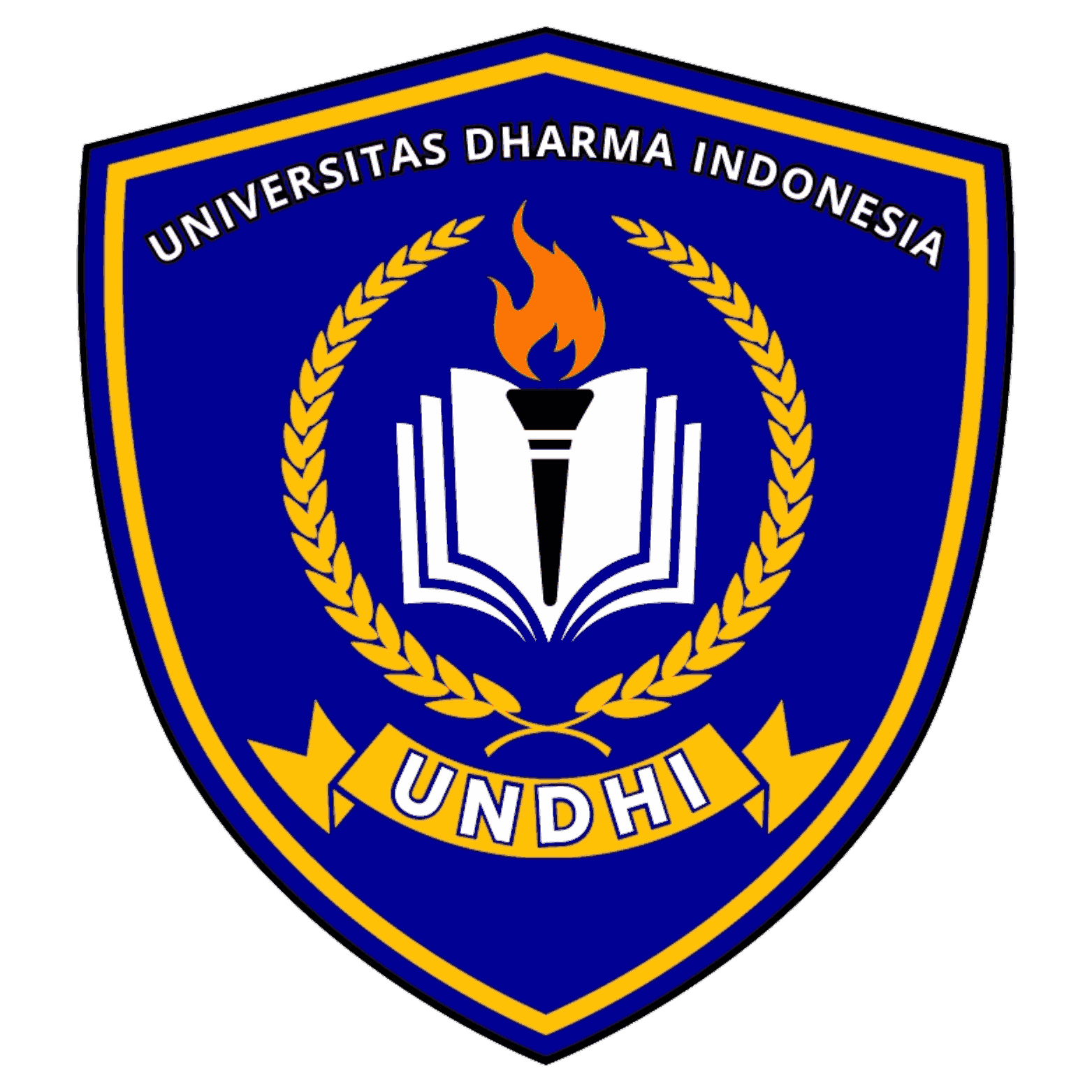Logo UNDHI